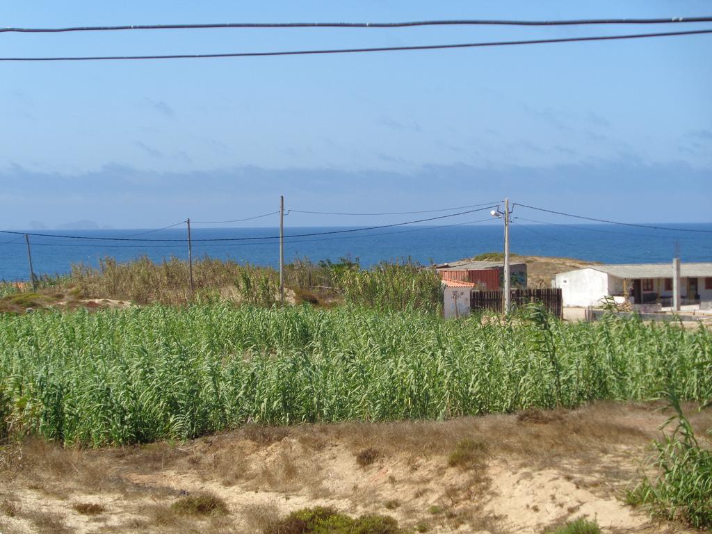 Sun House - Baleal Βίλα Ferrel  Εξωτερικό φωτογραφία